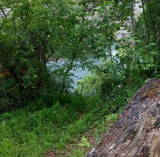 Hébergement de vacances The Masham